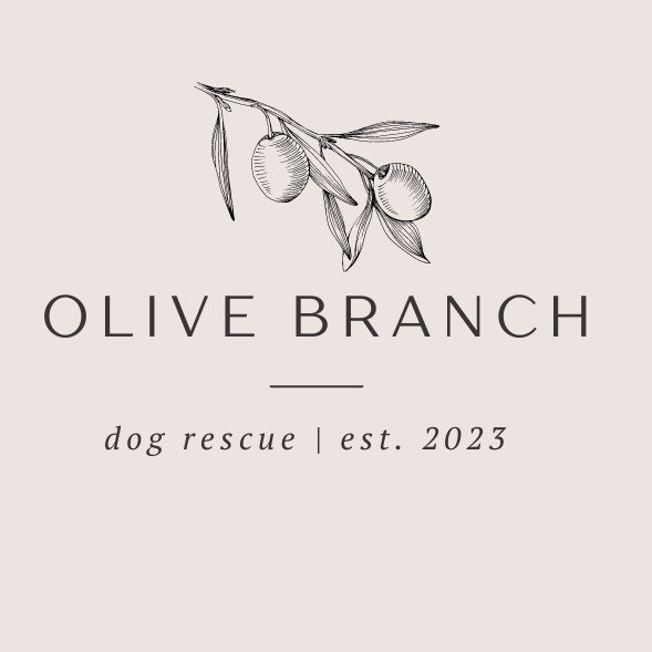 The Olive Branch Dog Rescue